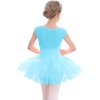 image:imageStelle Ballet Leotards for Girls with Tutu Skirt Ballerina Dance Costumes  Ballet tutu dress Soft stretch fabric Breathable comfort Tulle skirt Ballerina outfit Dance Performance Party01pool Blue