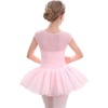image:imageStelle Ballet Leotards for Girls with Tutu Skirt Ballerina Dance Costumes  Ballet tutu dress Soft stretch fabric Breathable comfort Tulle skirt Ballerina outfit Dance Performance Party01ballet Pink