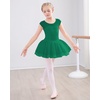 image:imageStelle Ballet Leotards for Girls with Tutu Skirt Ballerina Dance Costumes  Ballet tutu dress Soft stretch fabric Breathable comfort Tulle skirt Ballerina outfit Dance Performance Party01green