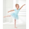 image:imageStelle Girls Ballet Leotards with Sequin Tutu Dress Toddler Dance Outfit  Girls Dance Tutu Dresses Short Sleeve Fluffy Tulle skirted Ballerina Costumes for Dance Classes Recitals PerformanceBlue