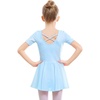 Style 1-blue(cross Back)