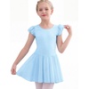 image:imageStelle Ballet Leotards for Girls Dance Leotard with Skirt Kids Dance Dress  Ballet Dress for Toddler Girls Ruffle Sleeve Chiffon Skirt Dance Costume for Performances Birthday Party Daily Wear2blue