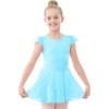 image:imageStelle Ballet Leotards for Girls Dance Leotard with Skirt Kids Dance Dress  Ballet Dress for Toddler Girls Ruffle Sleeve Chiffon Skirt Dance Costume for Performances Birthday Party Daily Wear1pool Blueshiny Skirt