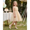 image:imageStelle Girls Dress Shoes with Jeweled Strap for Wedding Flower Girl Party  Sparkling jewel strap Cushioned comfort Hookandloop closure School Dress occasions Patent finish Glitter finishGold