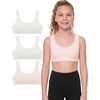 image:imageStelle Seamless Training Bras for Girls Teen Sport Bras 615Y  MultiPacks Cotton Double Layer Bralette Scoop Neck NoShow Sorf Comfort Padding Girl Bras for School Active2 Whitewhisper Pink