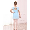 image:imageStelle Girls Ballet Leotards Toddler Dance Combo with Skirt and Tights2blue Bow Back