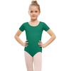 image:imageStelle Ballet Leotards for Girls Short Sleeve Gymnastics Dance Outfit 216YGreen