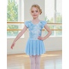 image:imageStelle Ballet Leotards for Girls Toddler Dance Leotard Gymnastic OutfitsCloudburst Blue