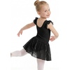 image:imageStelle Girls Flutter Sleeve Ballet Leotards Toddler Tutu Skirted DressesBlack