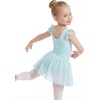 image:imageStelle Girls Flutter Sleeve Ballet Leotards Toddler Tutu Skirted DressesBlue