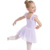 image:imageStelle Girls Flutter Sleeve Ballet Leotards Toddler Tutu Skirted DressesLavender