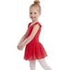 image:imageStelle Girls Flutter Sleeve Ballet Leotards Toddler Tutu Skirted DressesRed