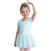 image:imageStelle Ballet Leotards for Girls Toddler Dance Ballerina Costumes DressesBlue