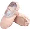 Ballet Pink