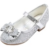 T13-silver Glitter