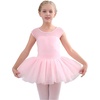 image:imageStelle Ballet Leotards for Girls with Tutu Skirt Ballerina Dance Costumes01ballet Pink