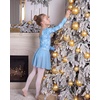 image:imageStelle Long Sleeve Ballet Leotards for Girls Toddler Ballerina Dance DressCloudburst Blue
