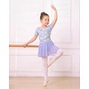 image:imageStelle Ballet Leotards for Girls Toddler Ballet Outfit Dance Leotard DressStyle 3magic Flutter
