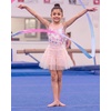 image:imageStelle Girls Skirt with Gymnastic Short Metallic Dance Tulle SkortPink