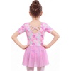 image:imageStelle Ballet Leotards for Girls Toddler Ballet Outfit Dance Leotard DressStyle 3bow Dreams