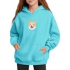 image:imageStelle Girls Hoodies Fleece Sweatshirts Pullover Tops Kids Trendy ClothesAqua Blue